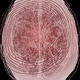 Illustration for article titled Is it degrading to feature actual human brains in your art?